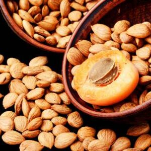 Fresh Apricot Kernels (Without Shell) – 1 KG Pack | Natural & Organic from Gilgit Baltistan